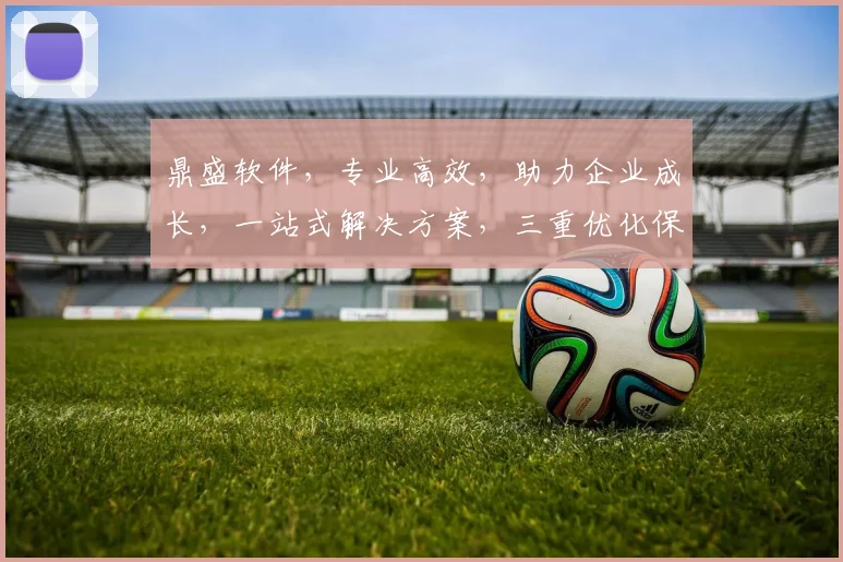 鼎盛软件，专业高效，助力企业成长，一站式解决方案，三重优化保障，首选之选